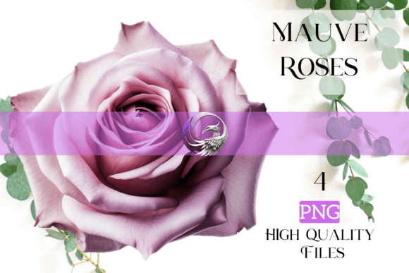 Download Mauve Roses - Mauve Collection
